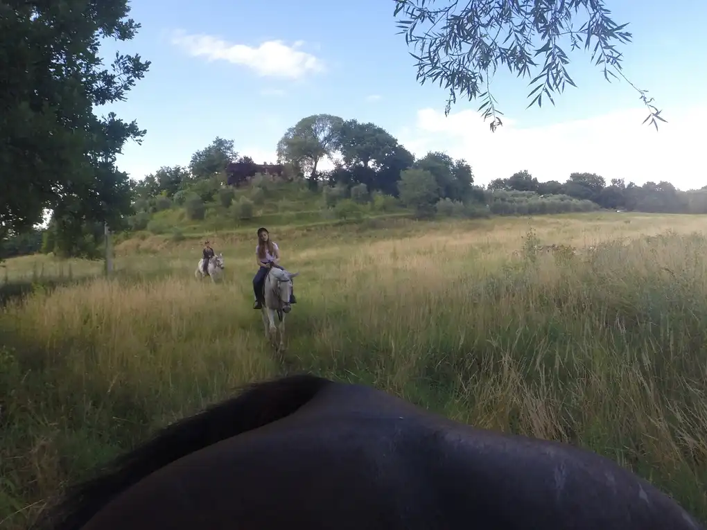 Passeggiata cavallo tre laghi dintorni