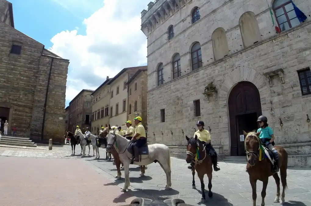 Piazza grande montepulciano cavallo