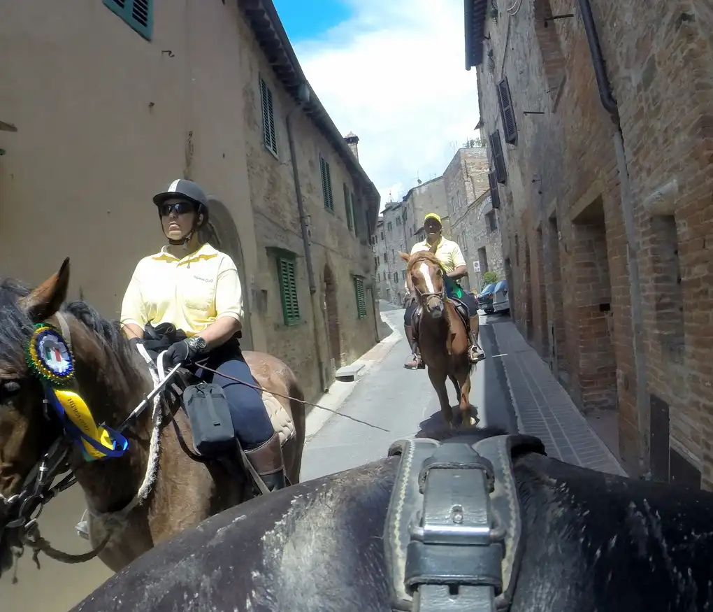 Strade montepulciano cavallo