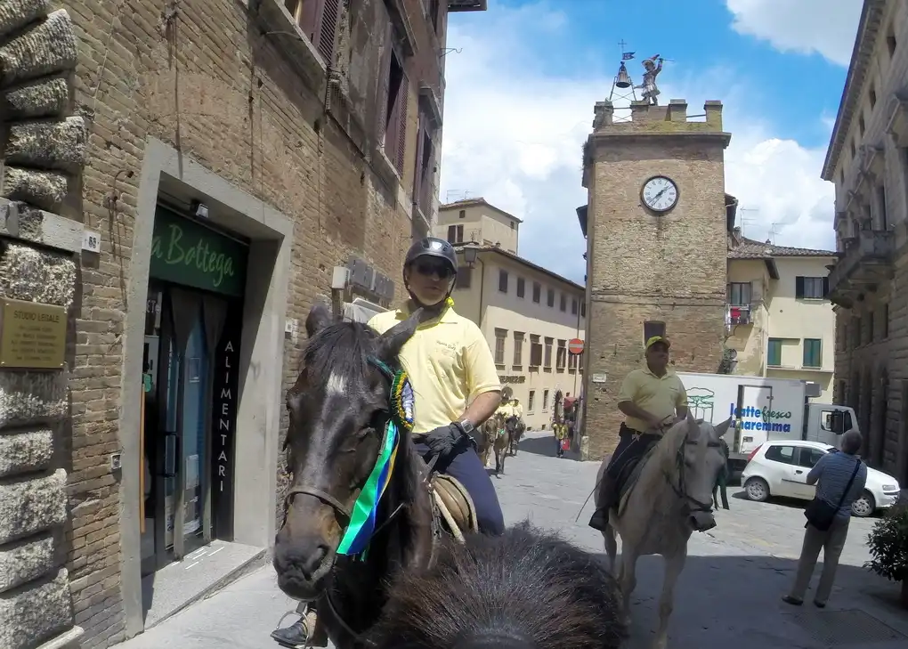 Toscana cavallo montepulciano