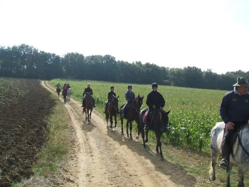 Trekking cavallo chiusi