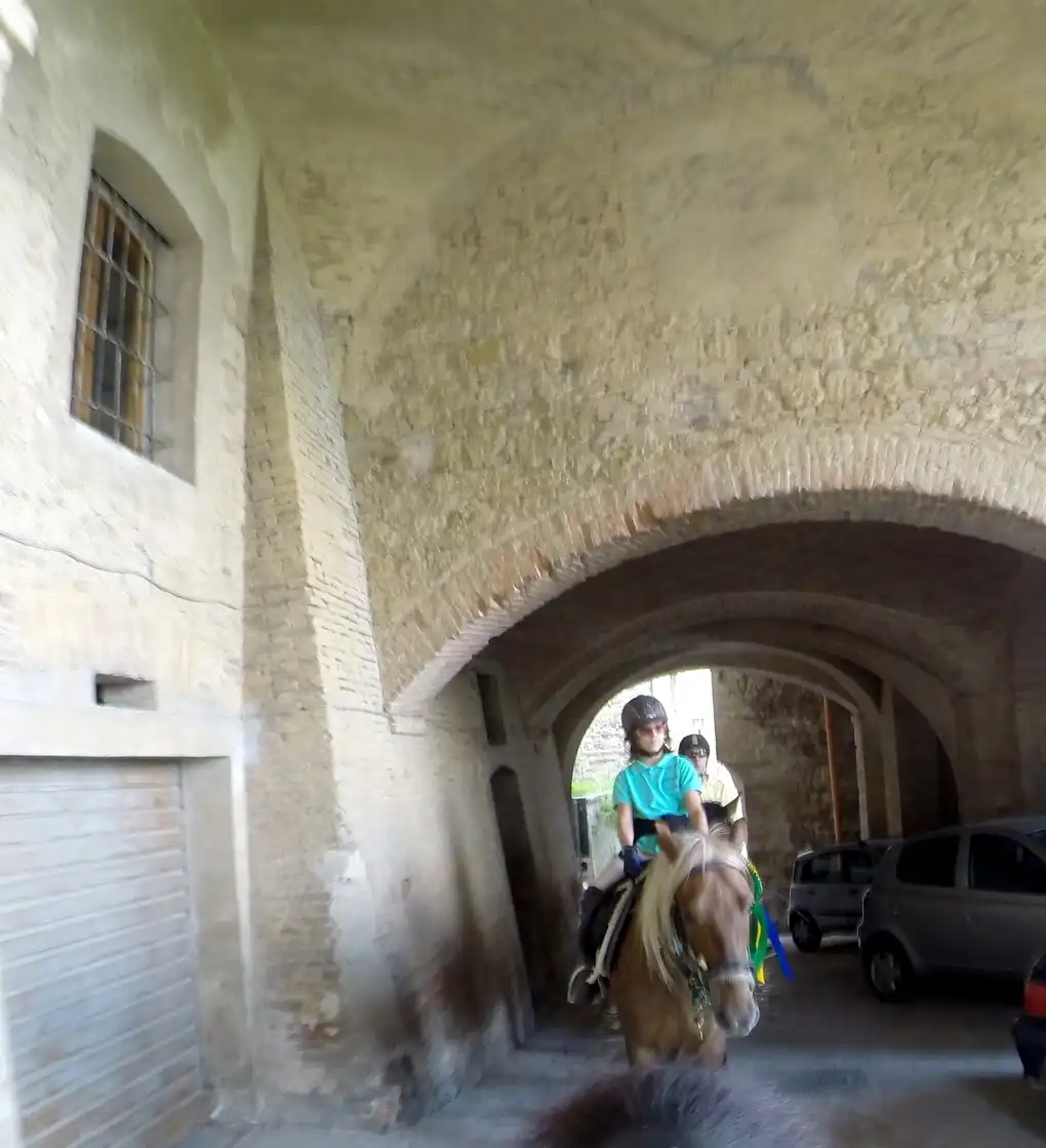 Visita montepulciano cavallo
