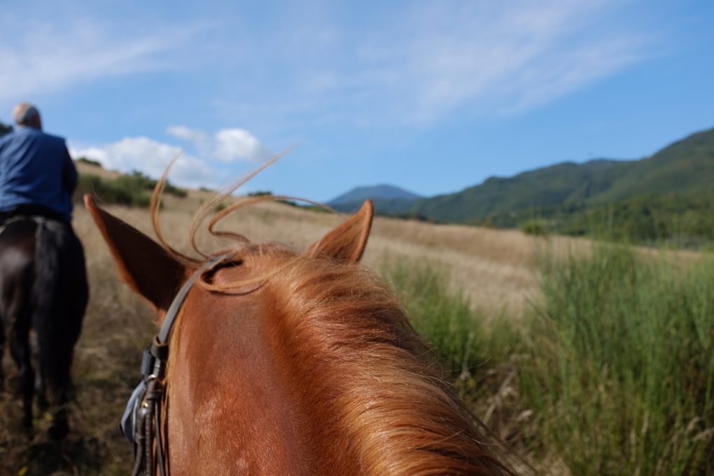 Bagni san filippo cavallo