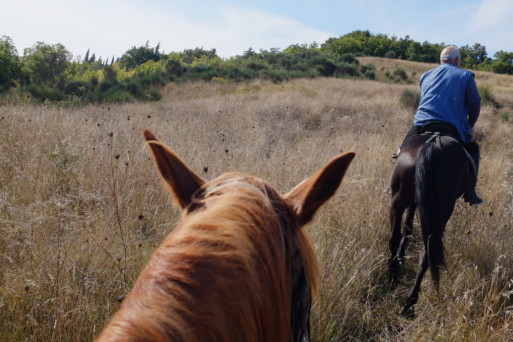 Castiglion orcia cavallo