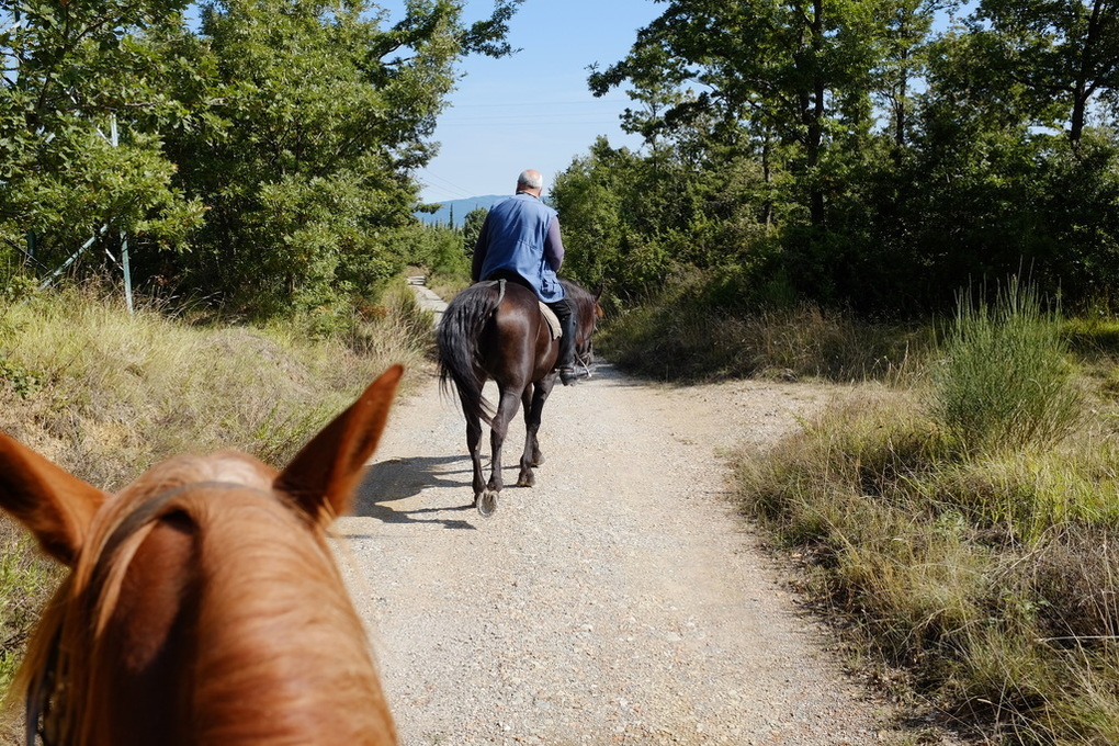 Passeggiata cavallo terme val dorcia