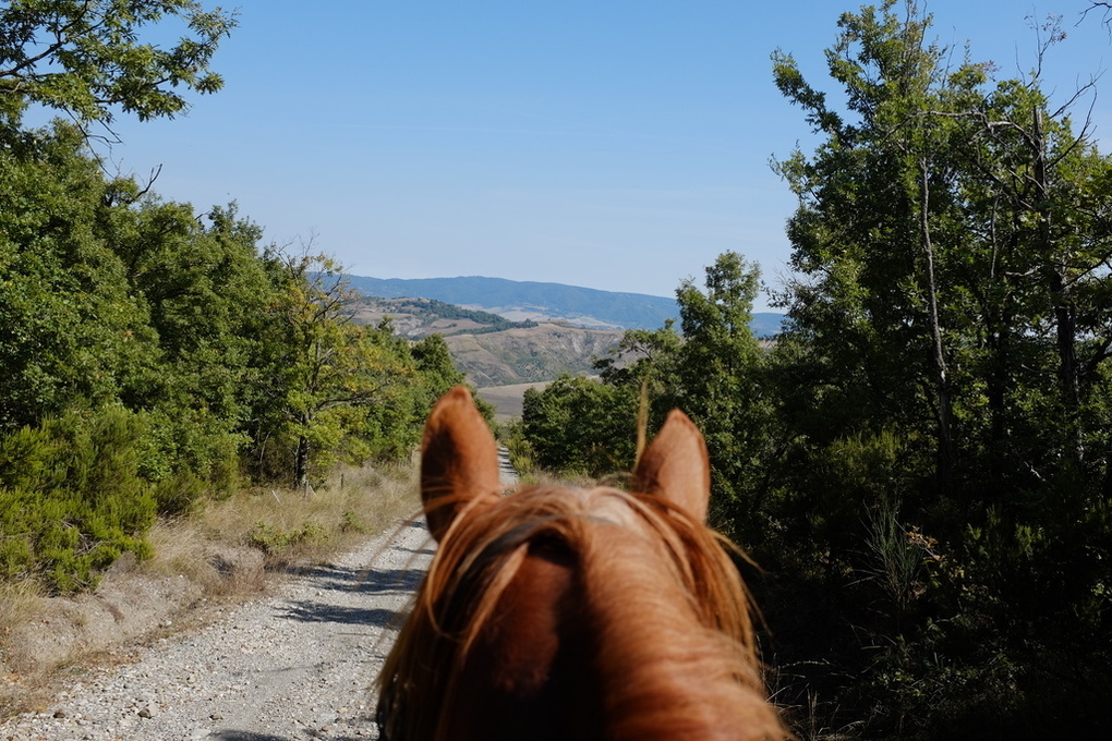 Passegiata a cavallo valdorcia