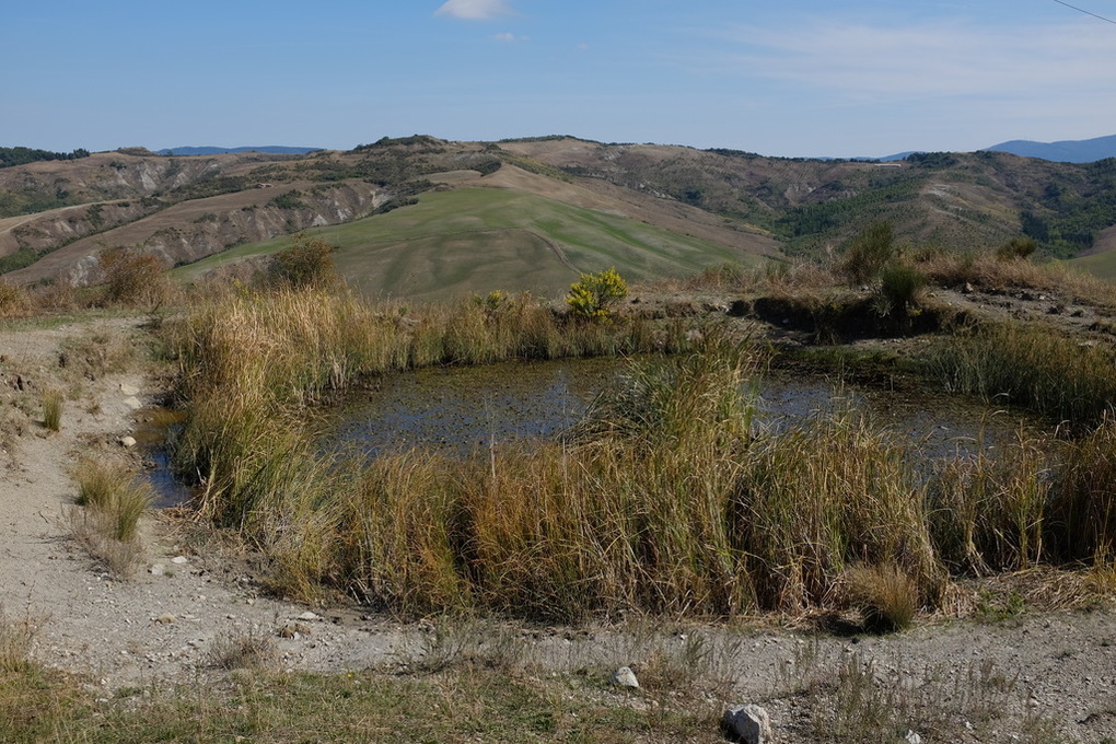 Terme cavallo passeggiata