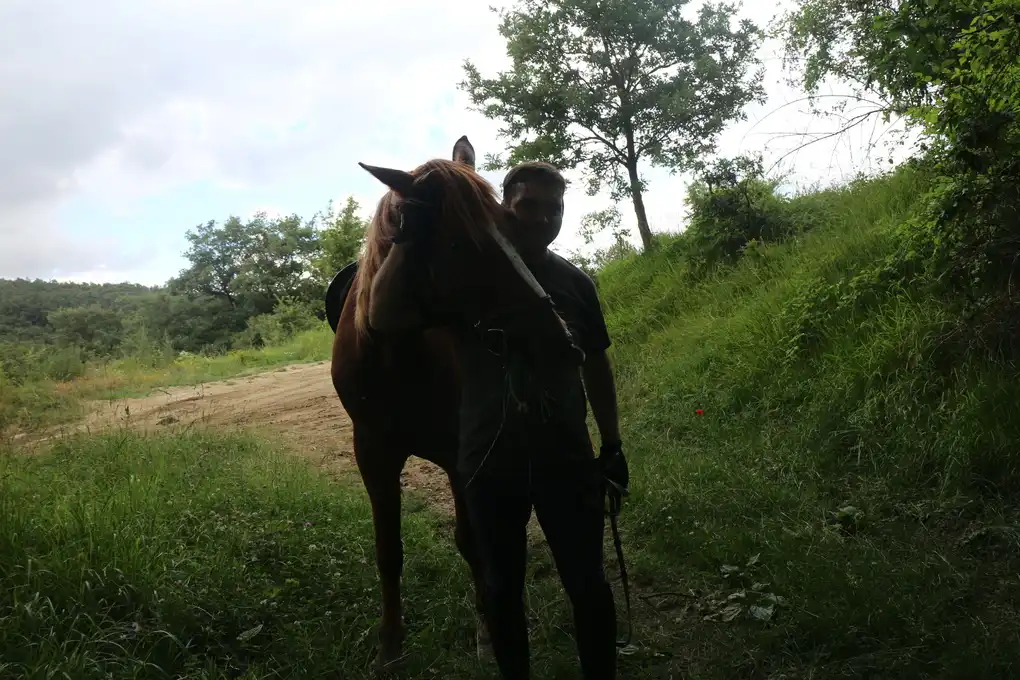 Cavallo trekking bosco toscana