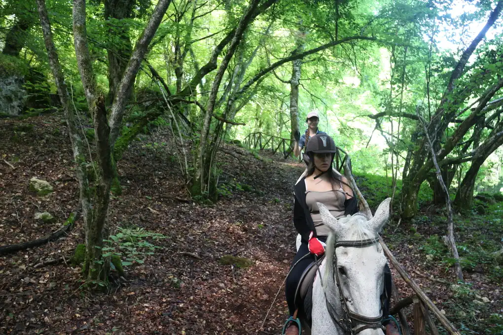 Passeggiata cavallo bosco