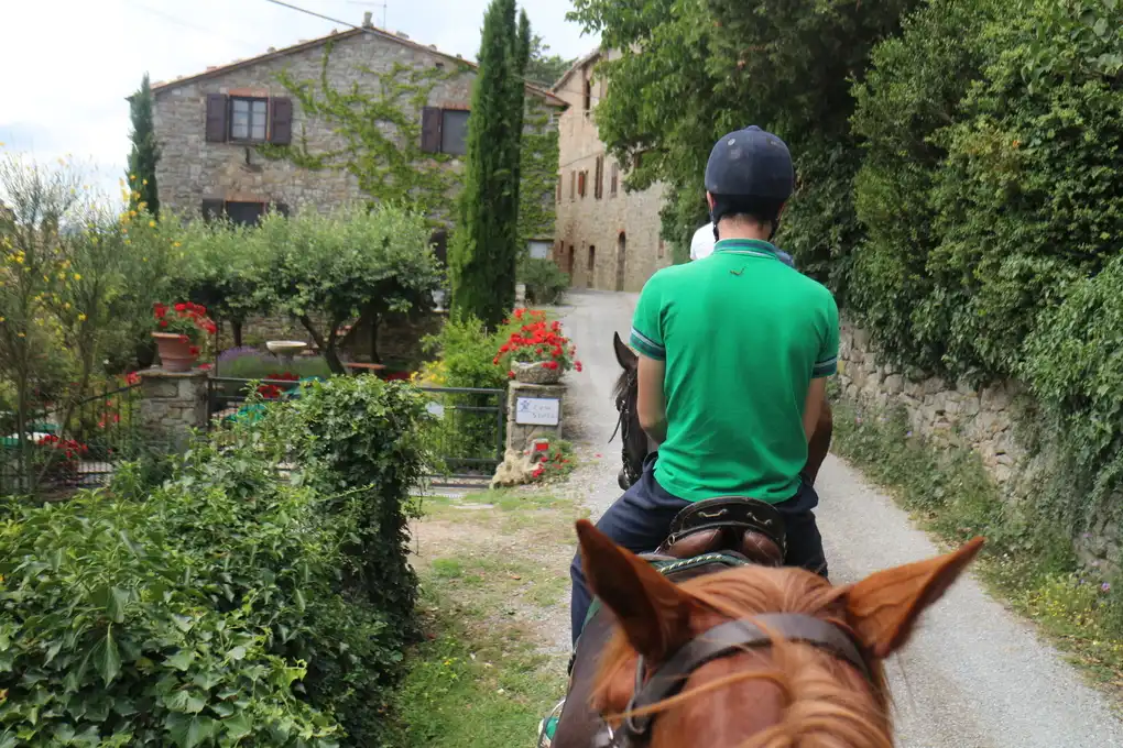 Casteluccio di trinoro cavallo