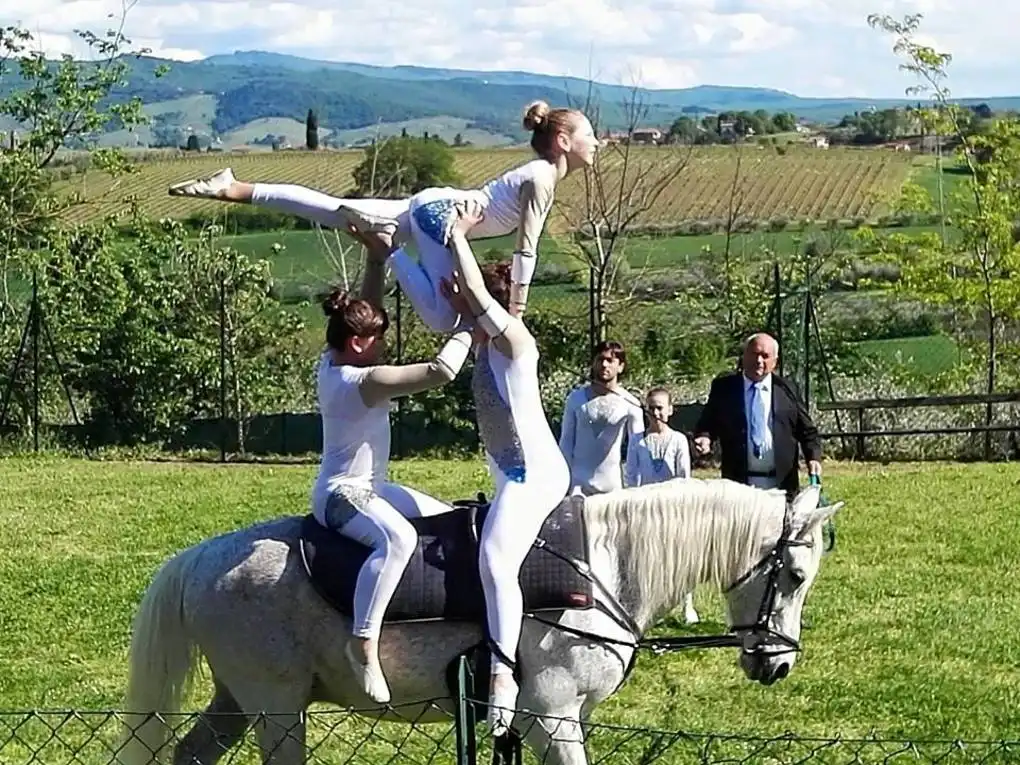 13083155 1694917994102016 3029555172726945804 n