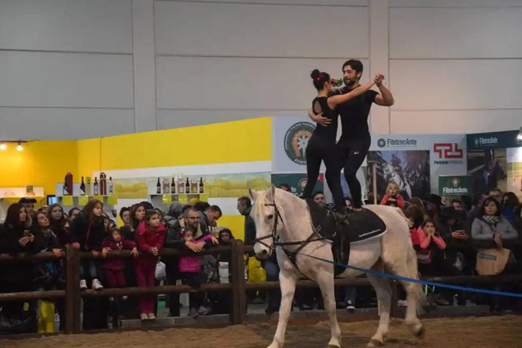 14962668 1778122589114889 771191258779999065 n