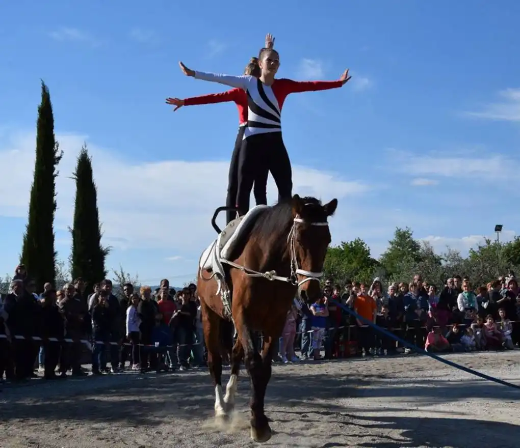 18268506 1868489846744829 7327695226782728907 n