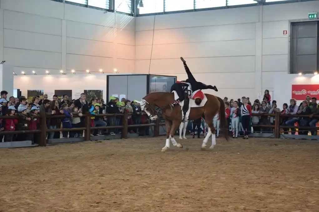 22770906 1944623582464788 2720194185970729396 o