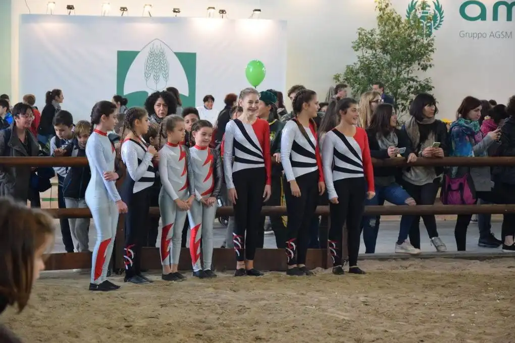 22791990 1944623069131506 4514703990874477089 o