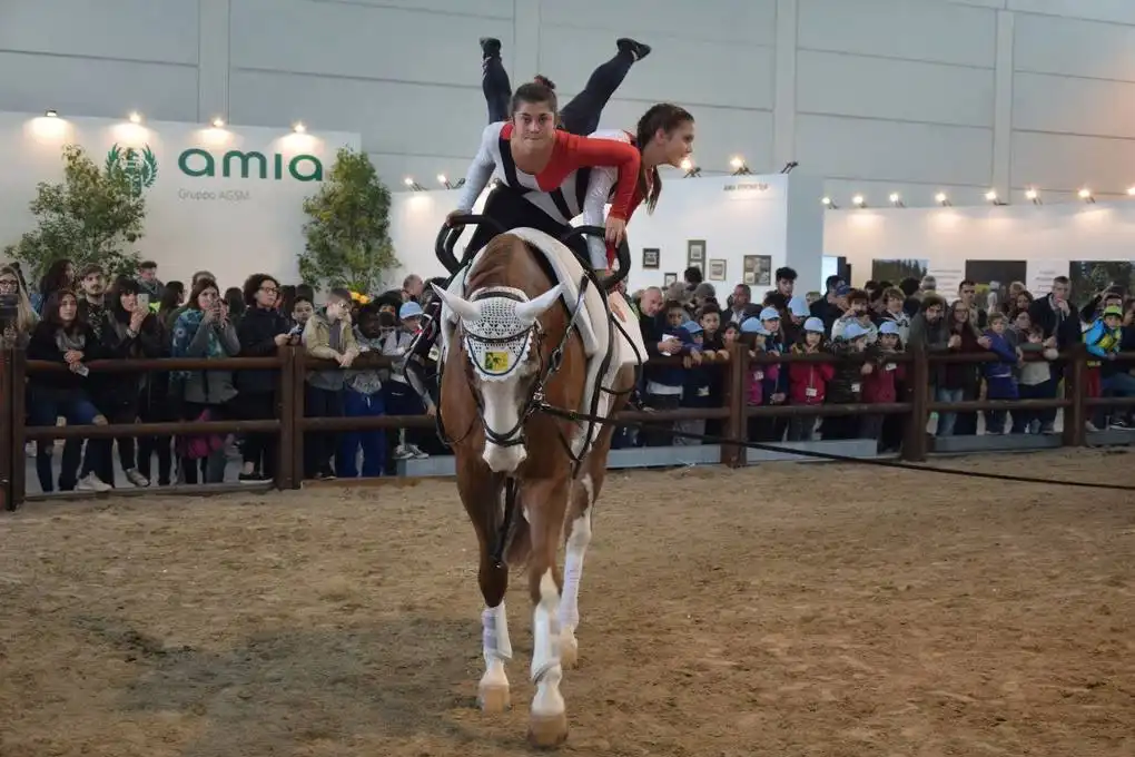 22792461 1944623405798139 5399994925504004508 o