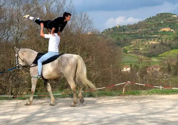 Acrobazie cavallo toscana