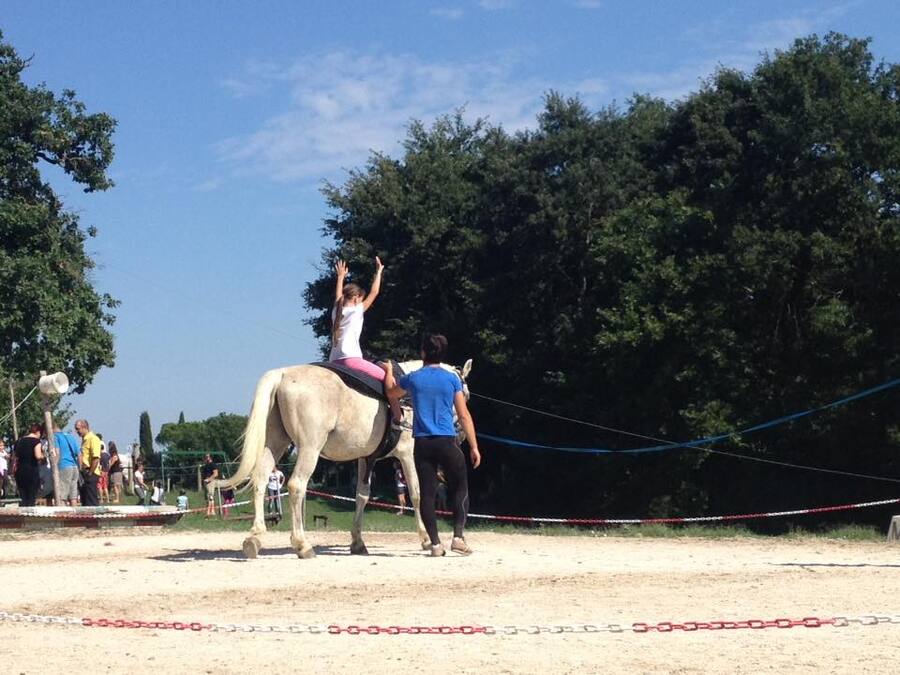 11880465 704316266379130 7788348559888089988 n