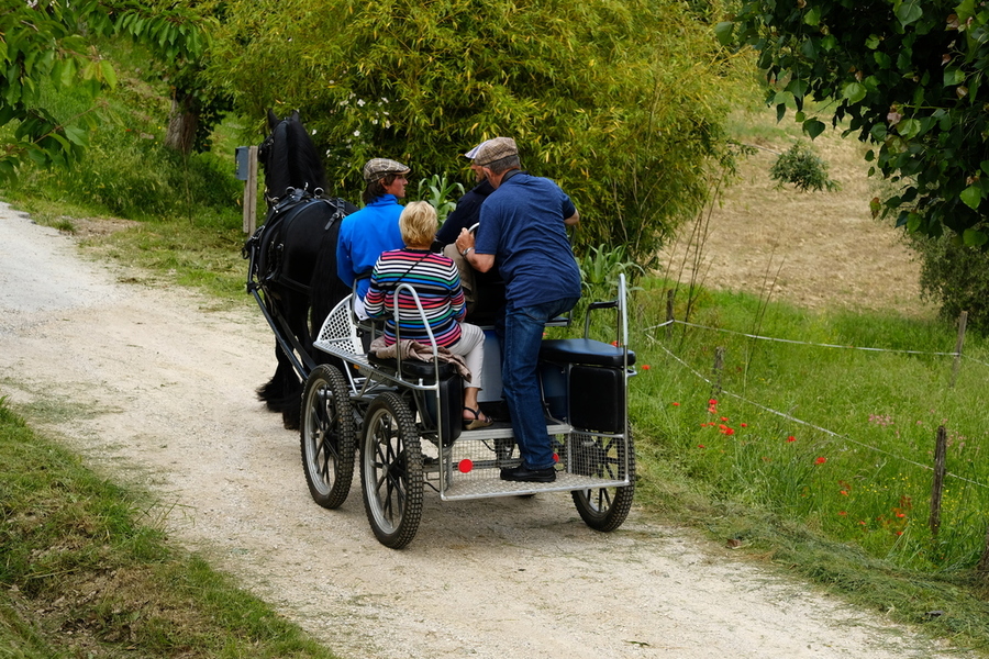Gita cavallo toscana